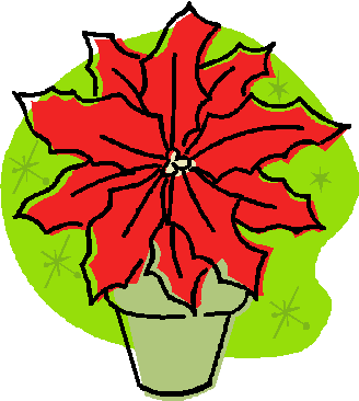 Pointsettia - Plant (328x366)