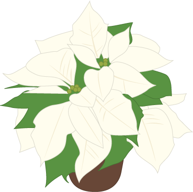 たんぽぽ, ポインセチア, ポインセチア - Illustration (394x393)
