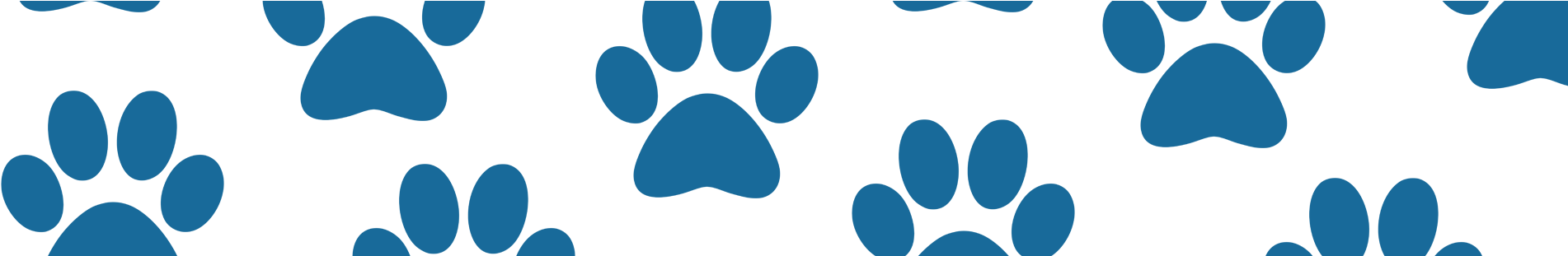 Wall Decal (1920x310)