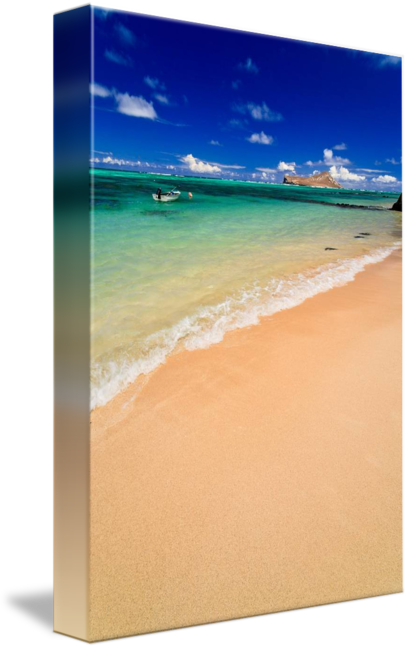Beach Ridge (408x650)