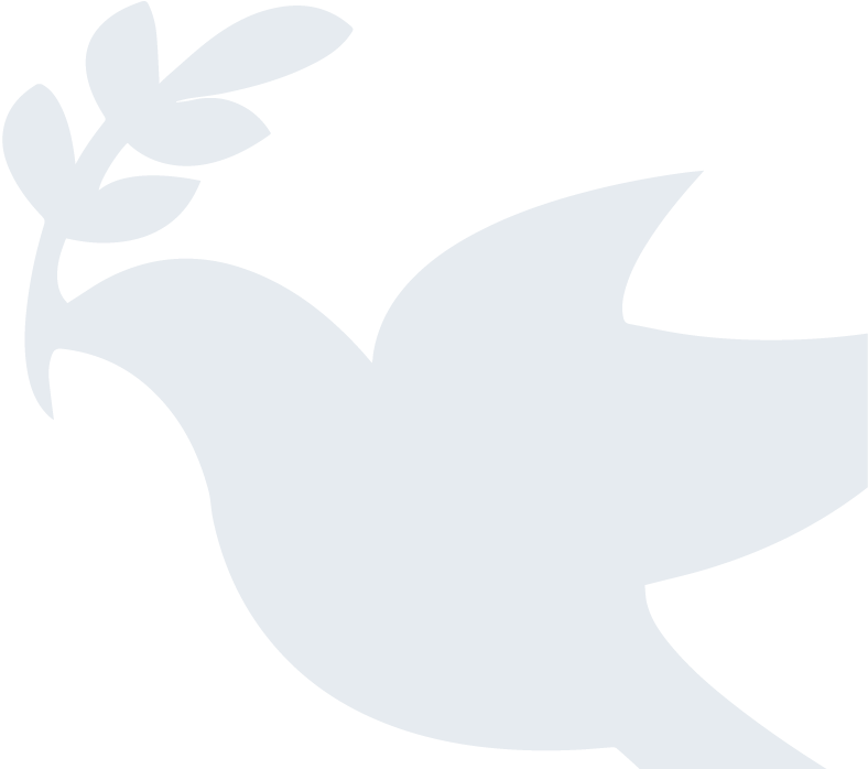 Large Dove Background - Abe Keller (788x698)