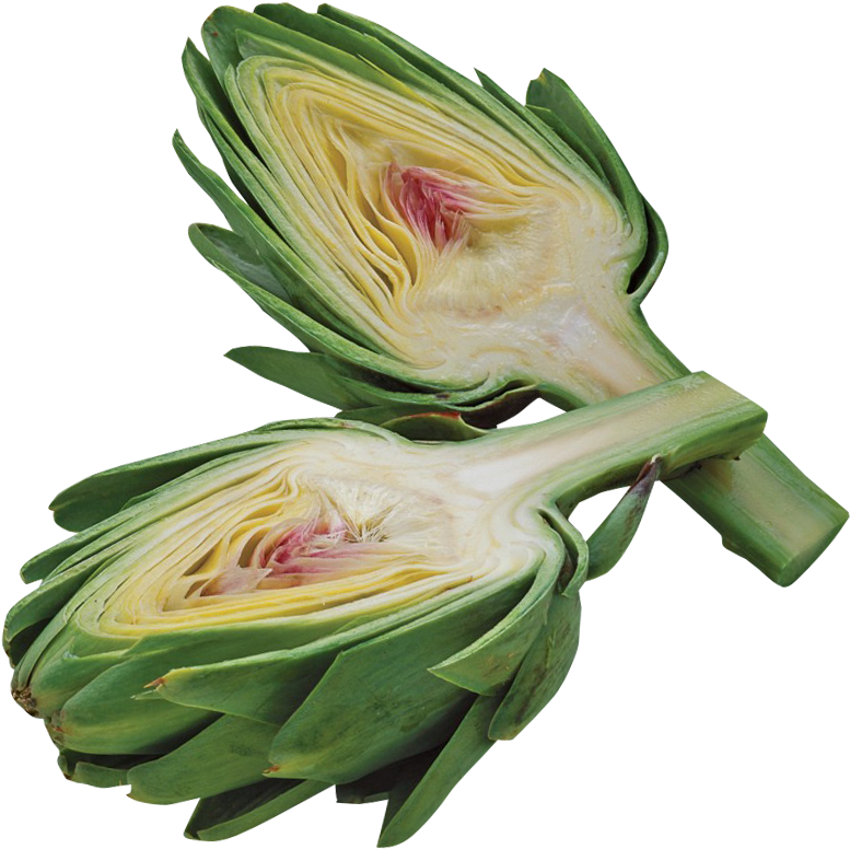 Artichoke (835x843)