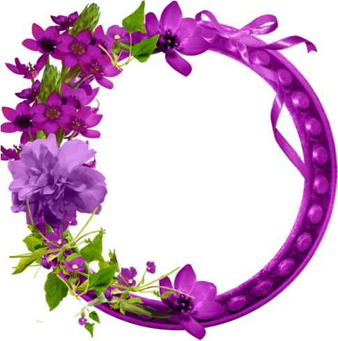 Purple Frames - Van (500x500)