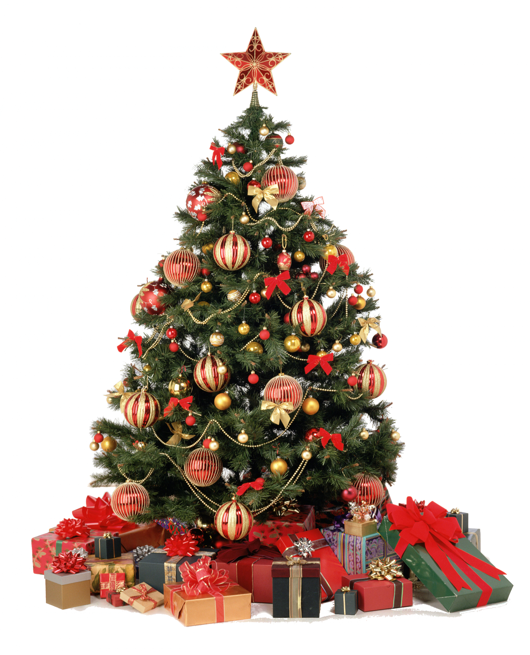 Christmas Tree In Great Britain (1800x2227)