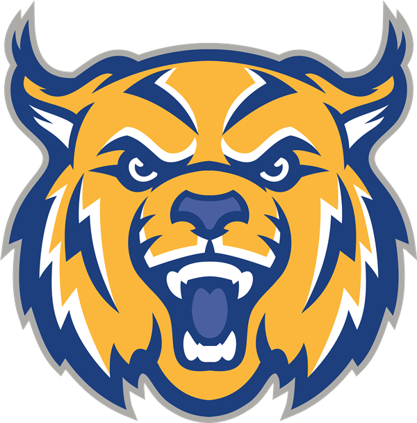 Bobcat Logo - Bobcats Vector (600x609)