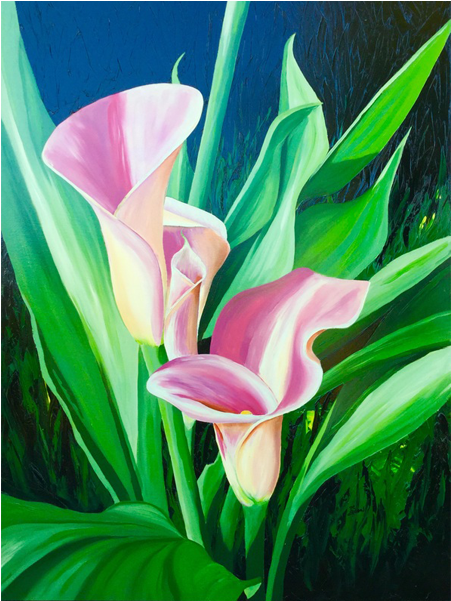 'calla Lilys' 36"x48" - Arum (800x600)