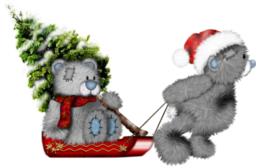 Bears - Imagenes De Navidad (500x324)