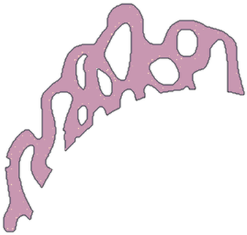 Function - Smooth Endoplasmic Reticulum Png (463x370)