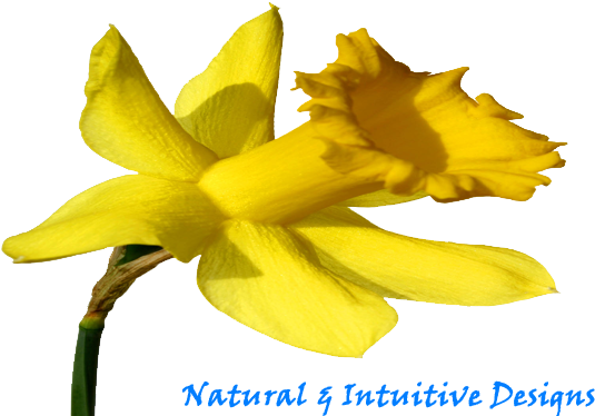 Playing With The Bits - Narcissus (570x375)