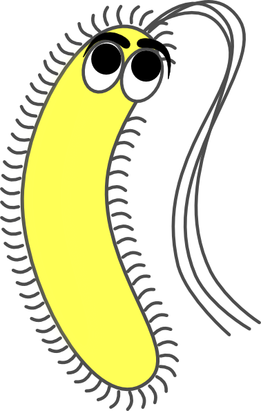 Modified Funny Yellow Clip Art - Spic Macay (378x595)