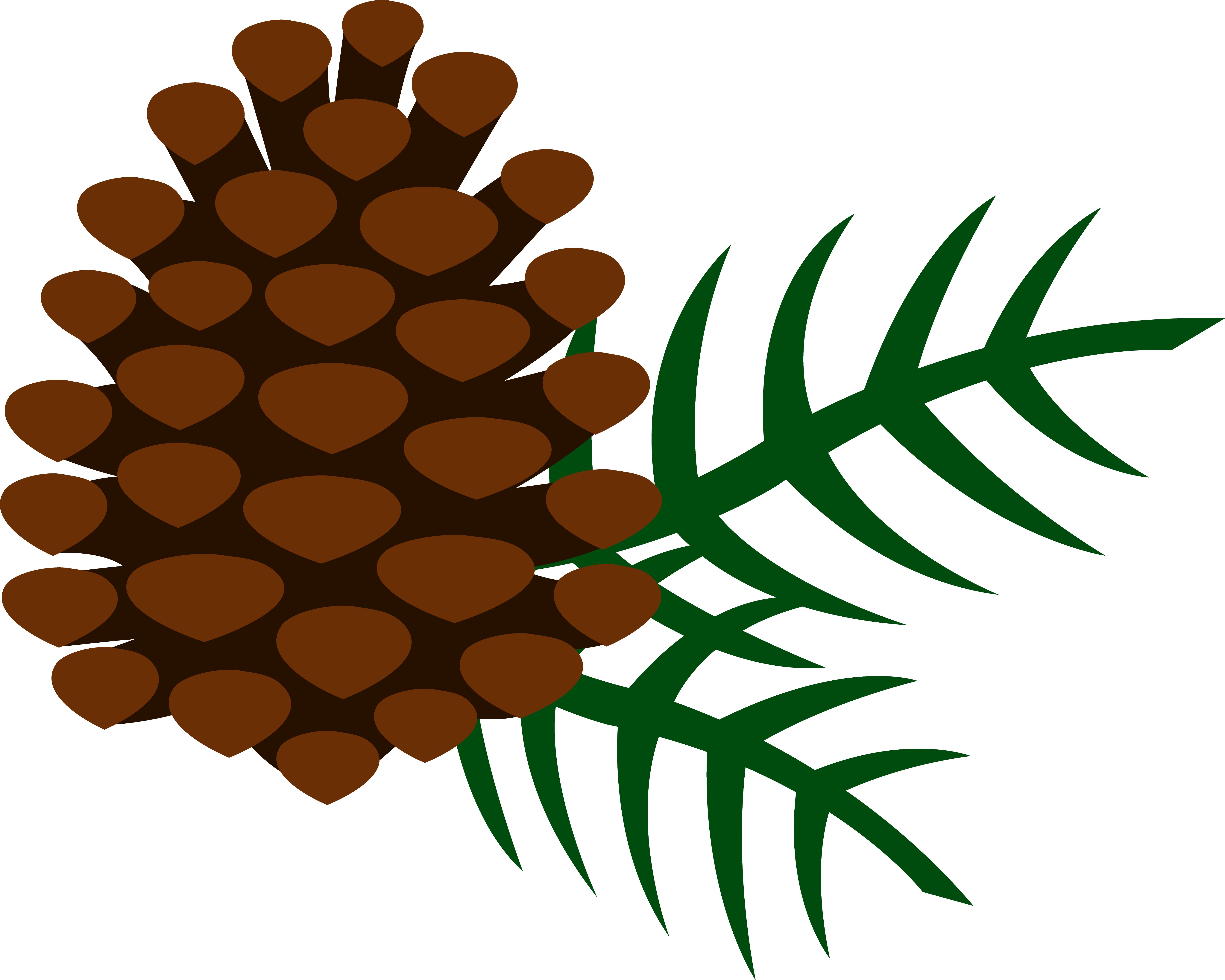Pine Clipart - .uk (6543x5237)
