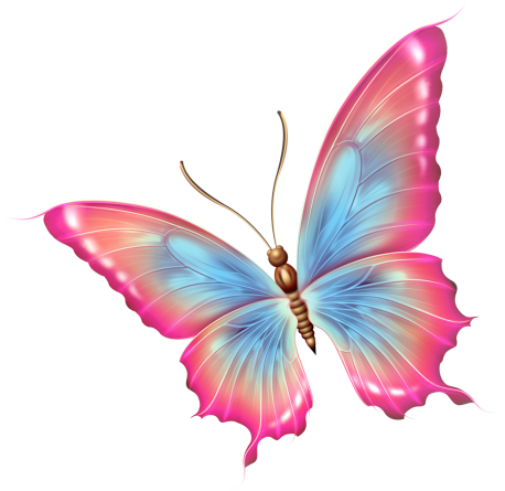 Papillons - Розовая Бабочка Png (466x455)