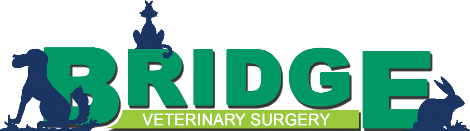 Veterinary Physician (962x273)