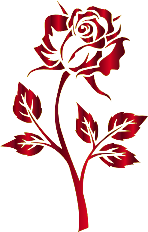 Medium Image - Rose Clipart No Background (493x771)