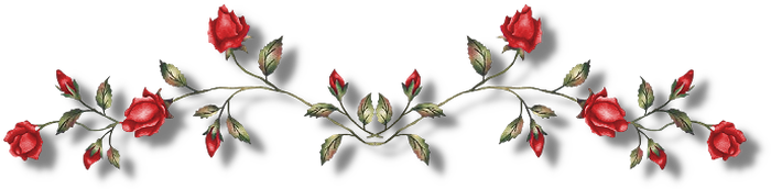 Мσσρ's Threads - Theme Dividers Vampire Diaries (730x209)