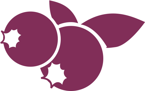 Berry G'oood - Illustration (800x388)