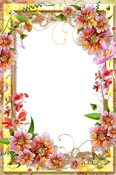 Beautiful Borders And Frames For Projects Wallpaper - Beautiful Borders And Frames For Projects Wallpaper (400x600)