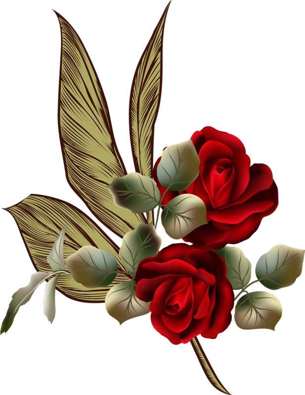 0 178d4c Ccff6c8f Orig - Rose (617x800)