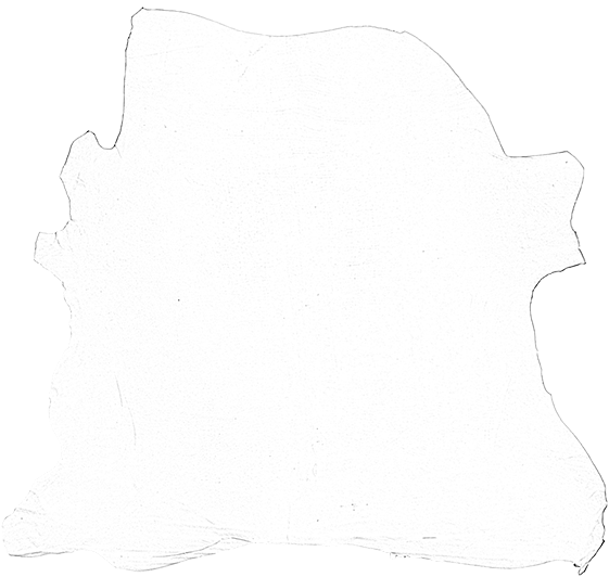 Vitellino Leather - Shell Cordovan (566x566)