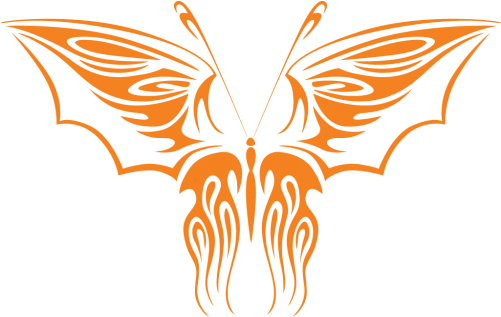 Butterfly (500x500)