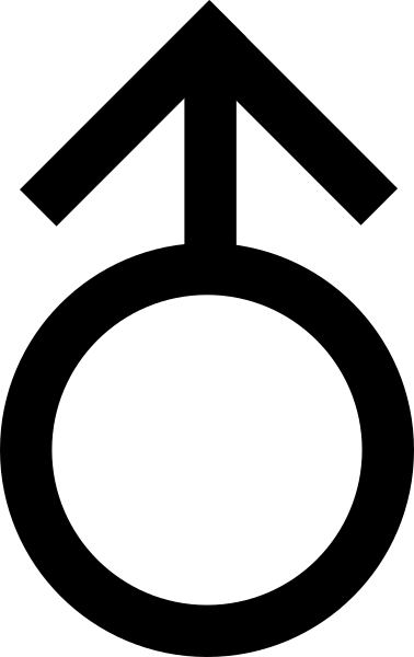 Circle (378x600)