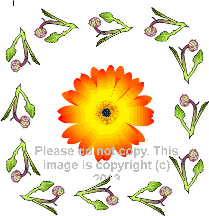044 Gazania Ring - 044 Gazania Ring (447x448)