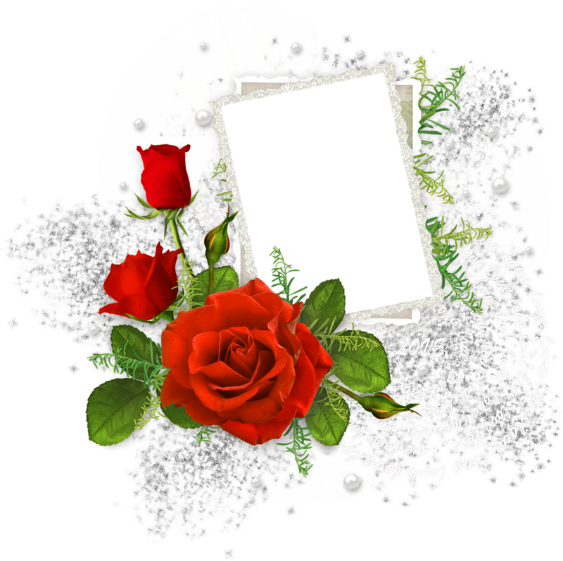 Funeral Frames (800x797)