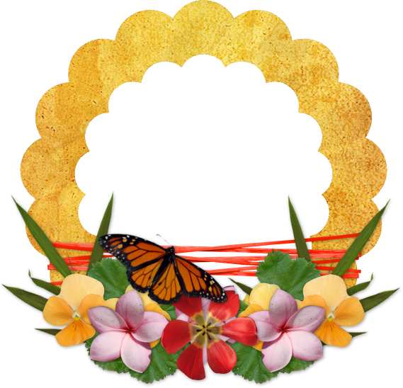 Butterfly (569x548)