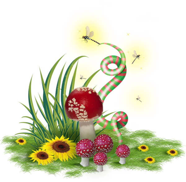 Champignons - Page - Common Mushroom (600x586)