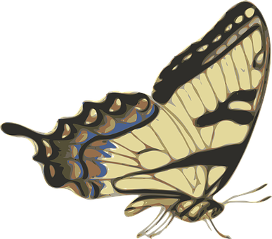Butterfly Brown Patterned Fly Wings Spring - Butterflies Side View (387x340)