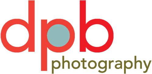 Logo (500x244)