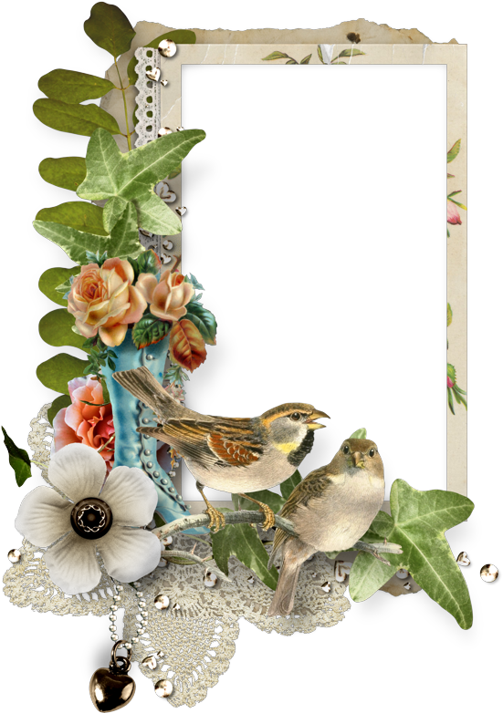 Clip Art (555x800)