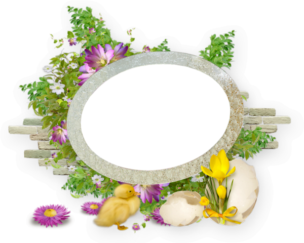 Camomile (600x480)