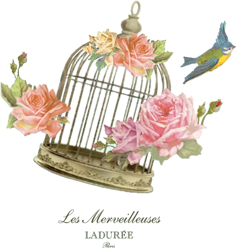 912 - Laduree Background (530x534)