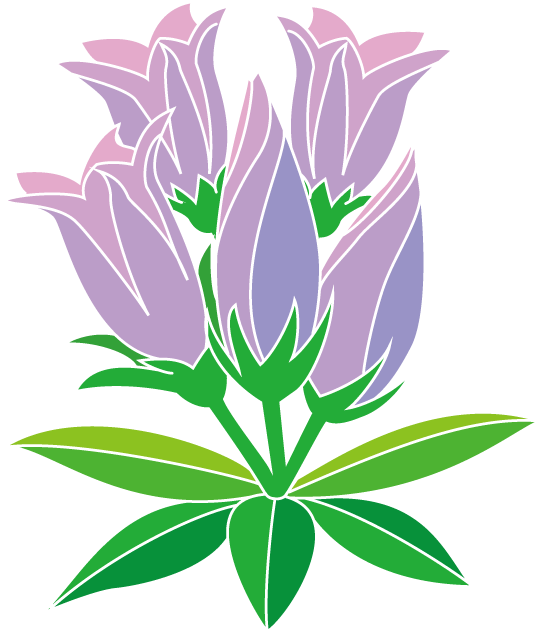 秋の花1 04 リンドウイラスト - Illustration (547x636)