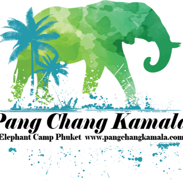 Elephants (640x640)