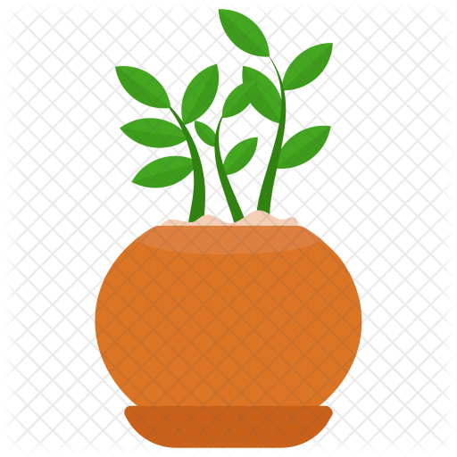 Schefflera Arboricola Icon - Dwarf Umbrella Tree (512x512)