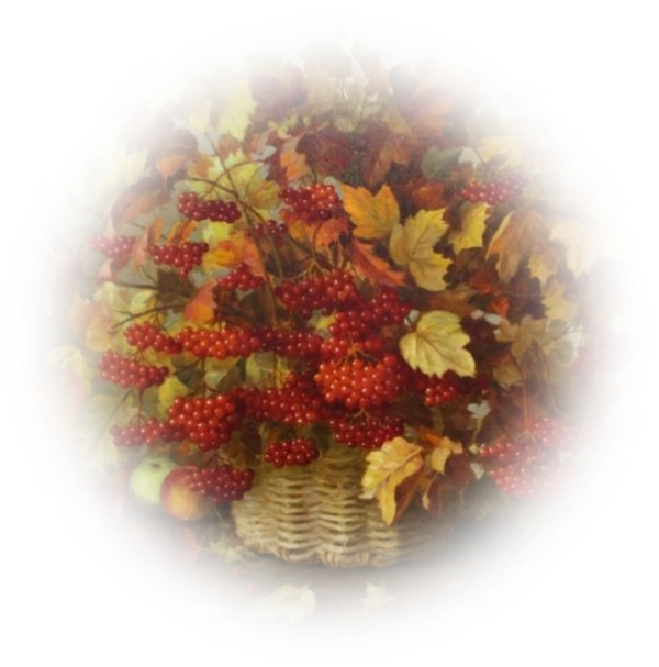 Rambutan (600x607)