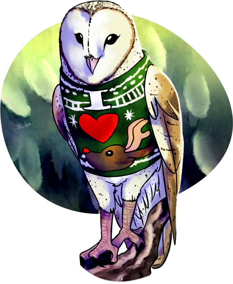 Commission By Irlclem - Barn Owl (803x994)