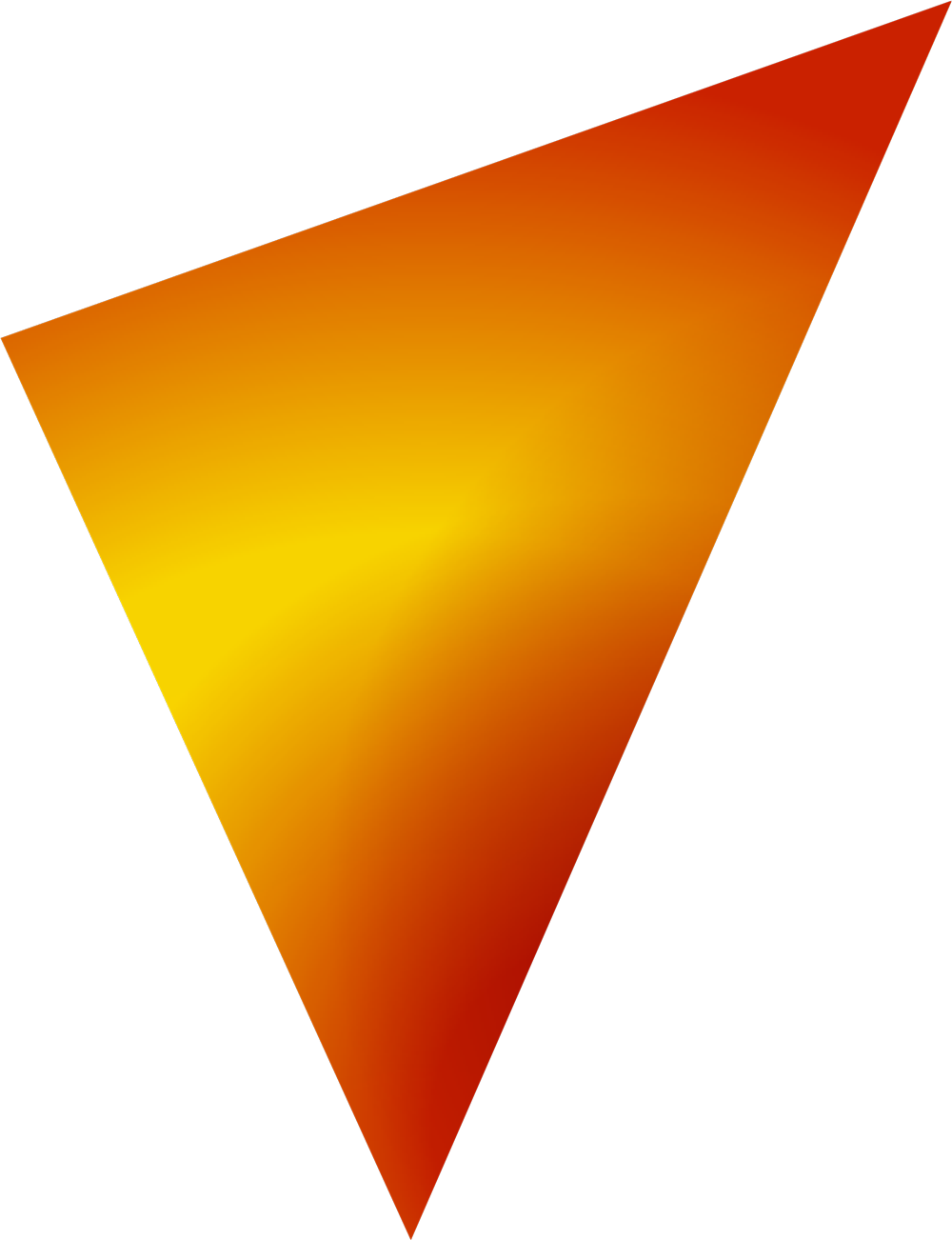 Privacy Statement - Triangle (1000x1302)