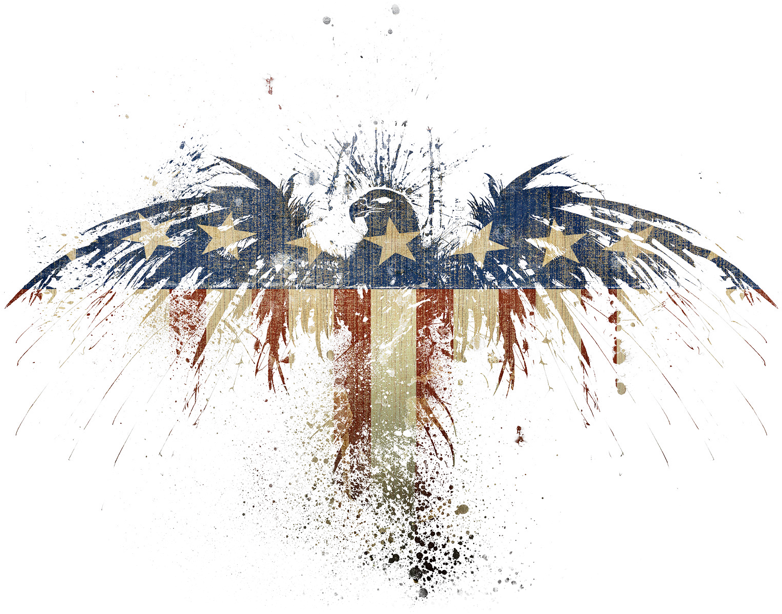 Usa Eagle Png - American Eagle Paint Splatter (1600x1200)