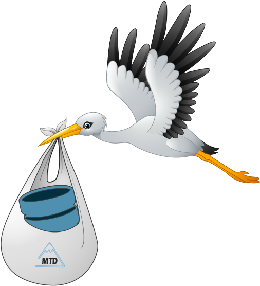 White Stork (575x590)