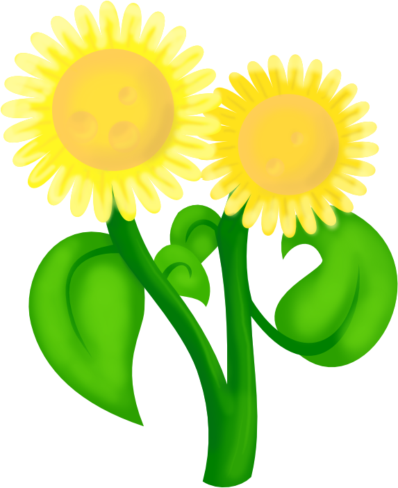 Sunflower (720x720)
