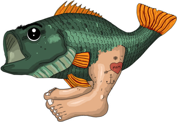 Perch (600x442)