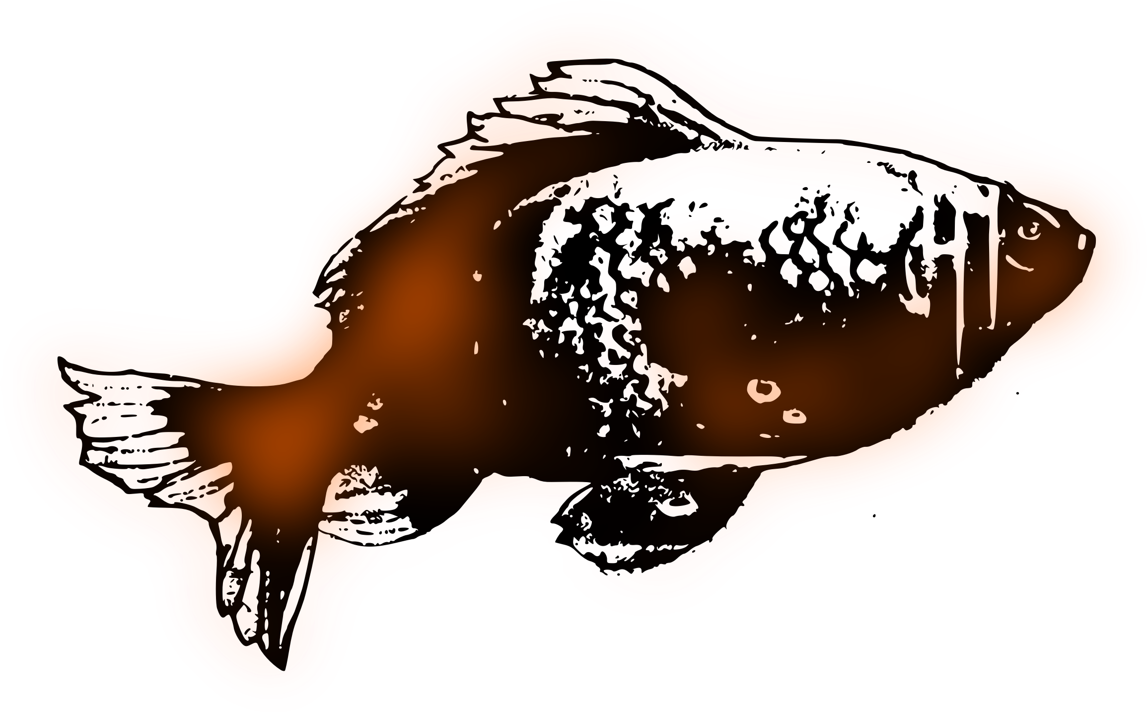Goldfish - Goldfish (2310x1434)