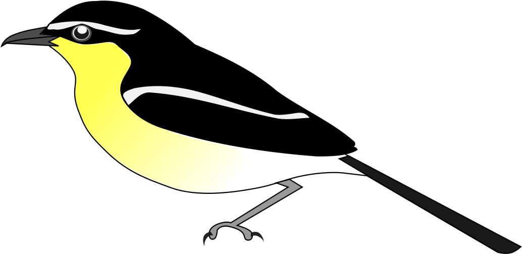Laniarius Erlangeri (1200x566)