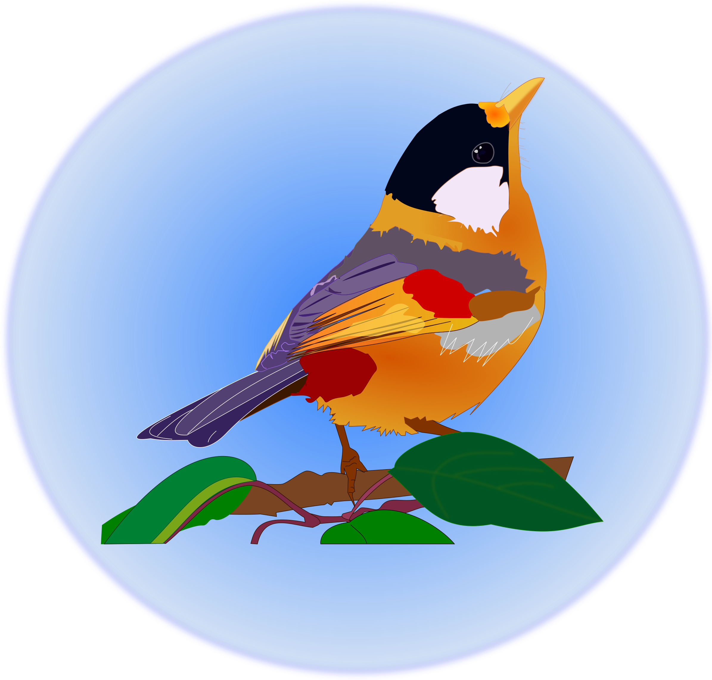 Big Image - Portable Network Graphics (2400x2283)