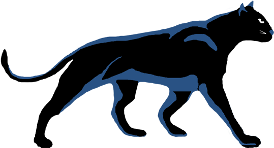 Black Panther (600x302)