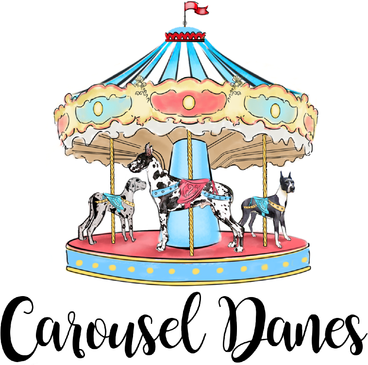 Carousel Danes - " - Child Carousel (900x900)