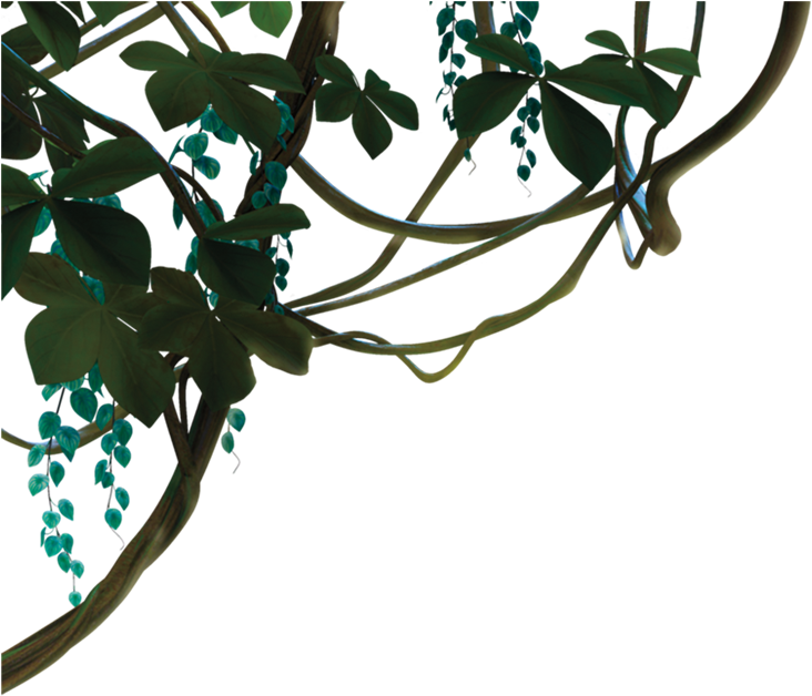 Dschungel Png (743x627)
